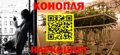 дмт Пугачёв