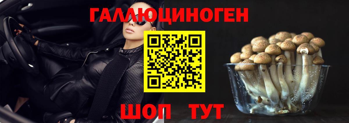 Псилоцибиновые грибы мицелий  Вход с VPN  Удомля 